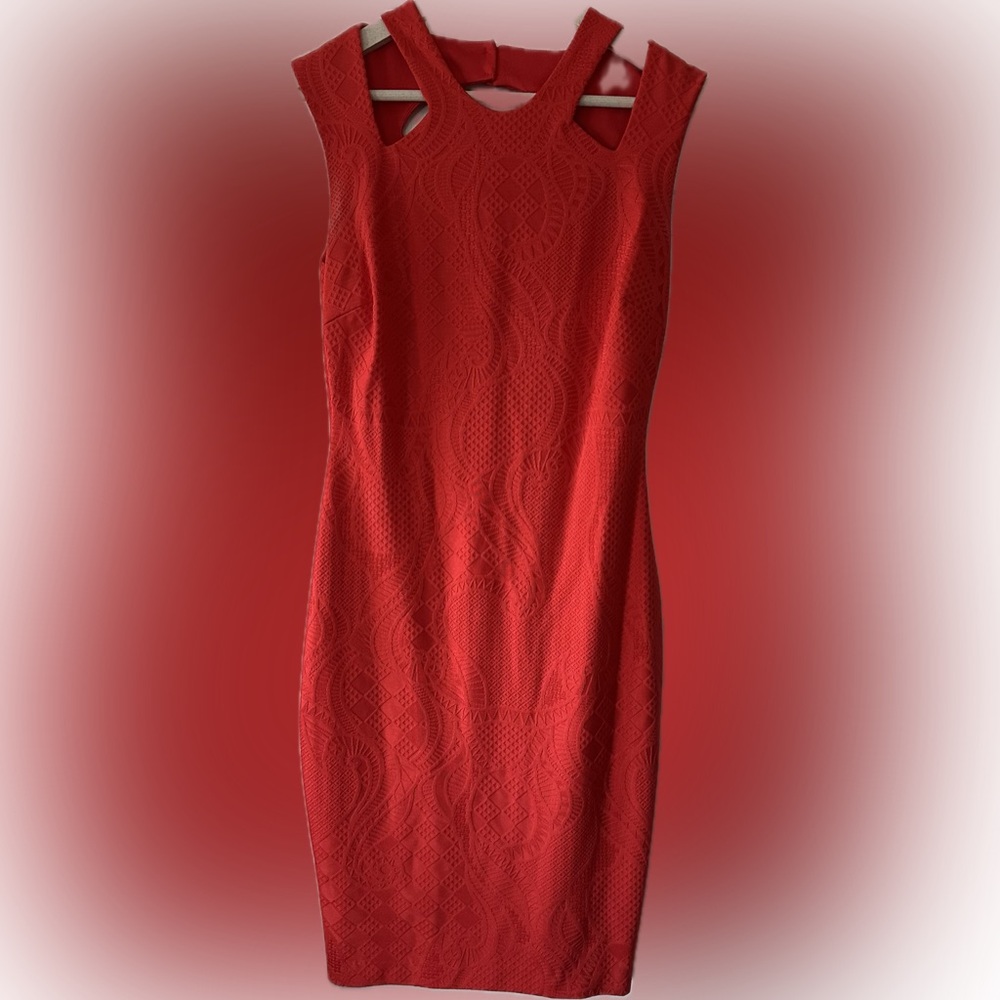 Cache Vibrant Red Textured Dress